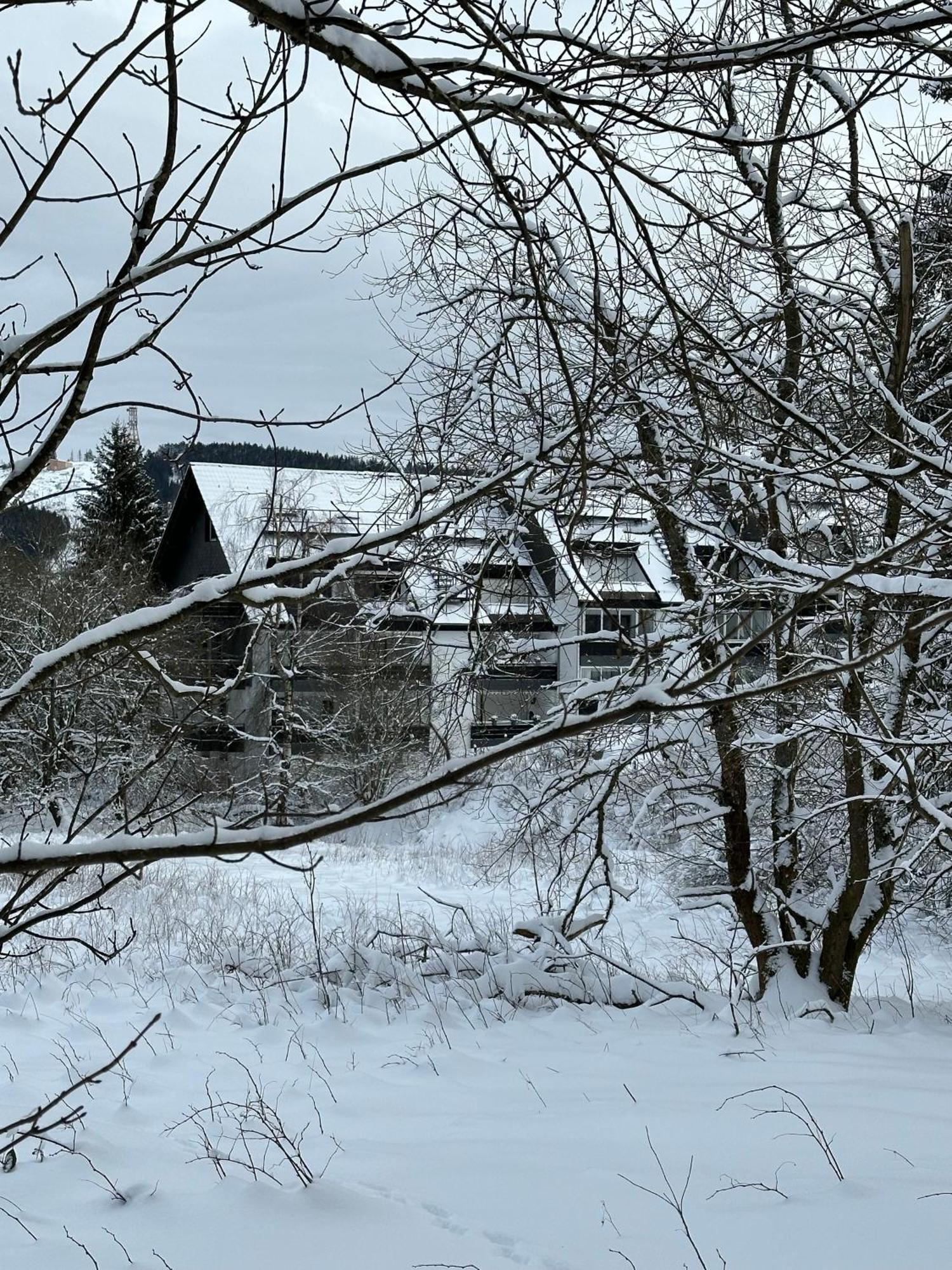 Ferienwohnung Waldgaenger Hahnenklee Goslar Exterior foto